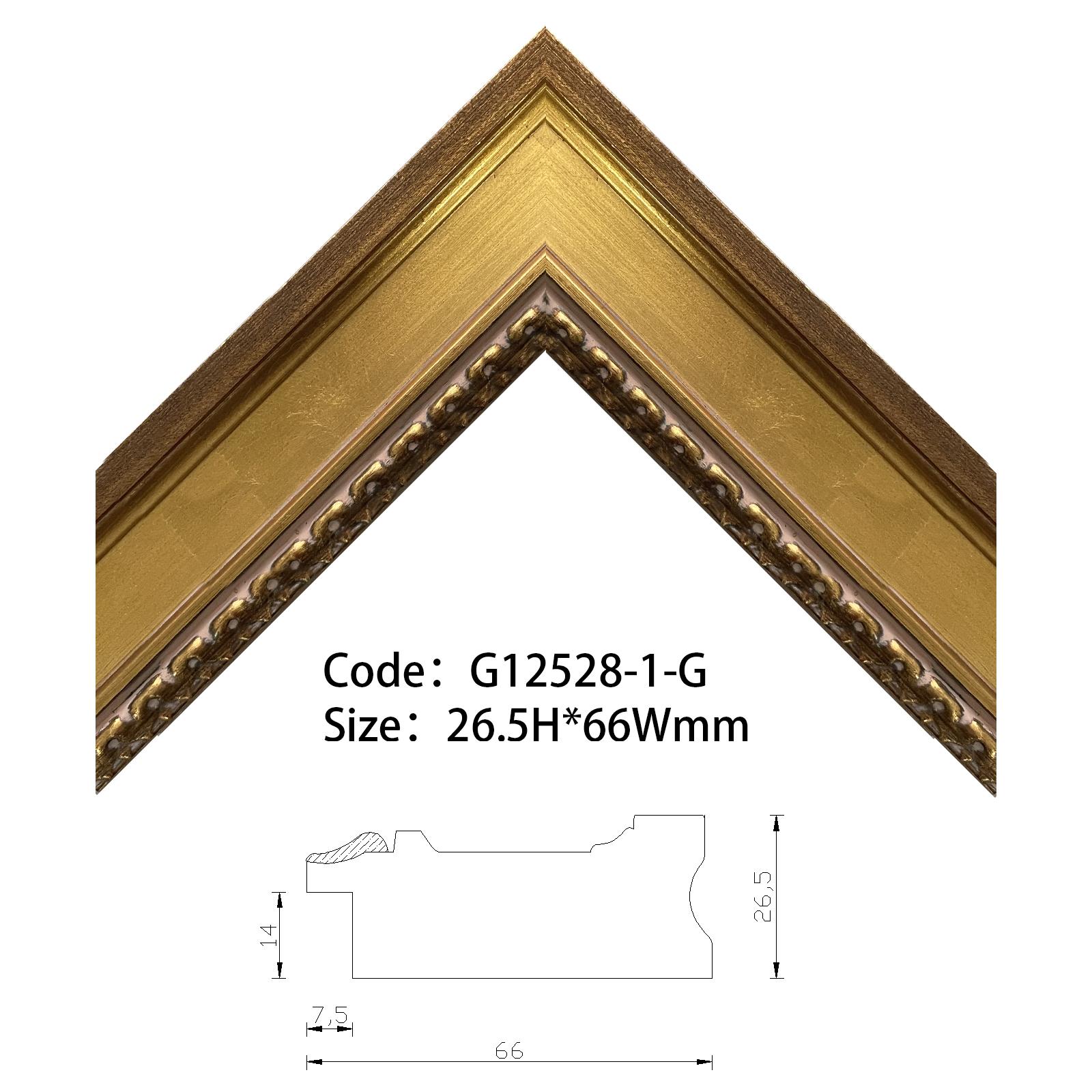 G12528-1-G