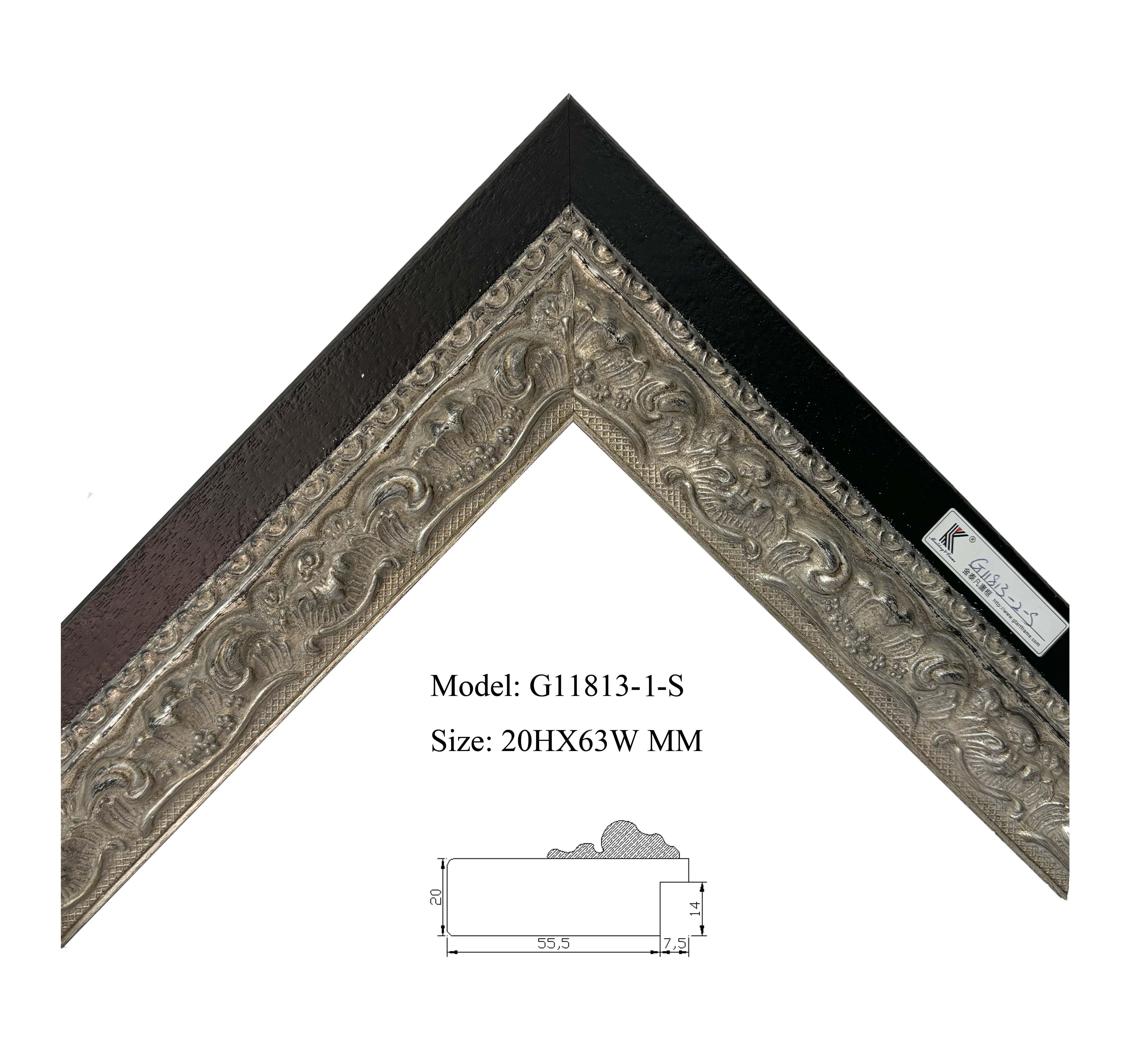 G11813