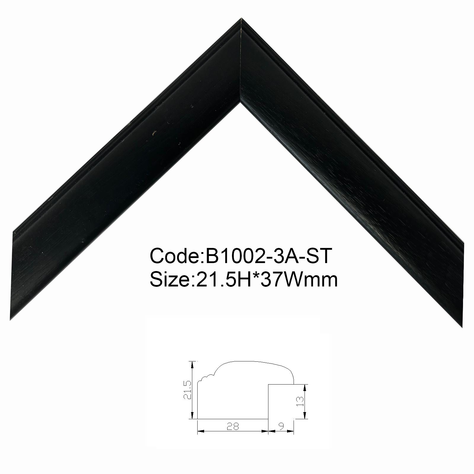 B1002-3A-ST
