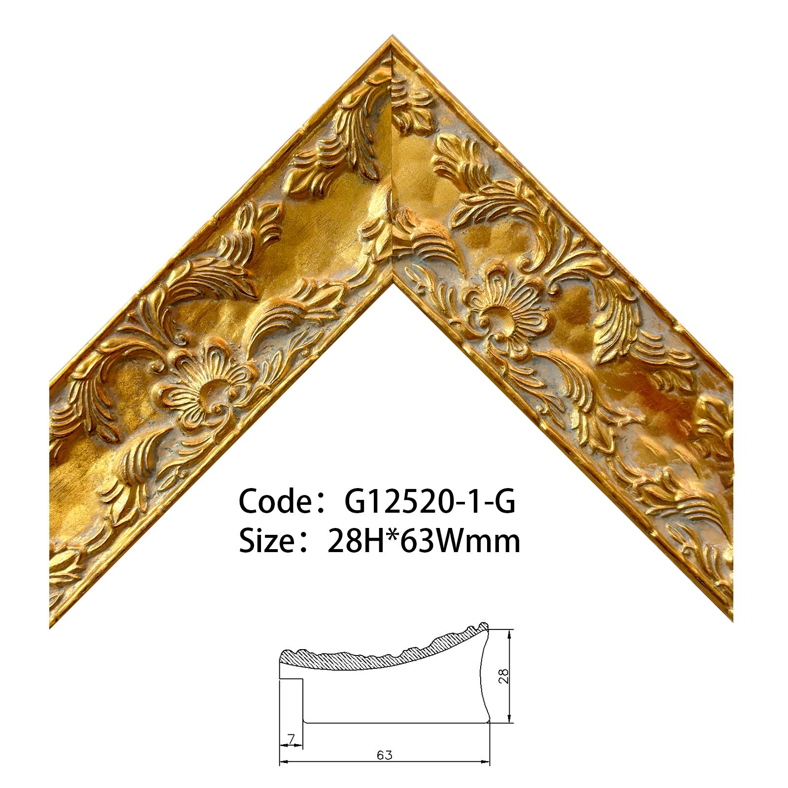 G12520