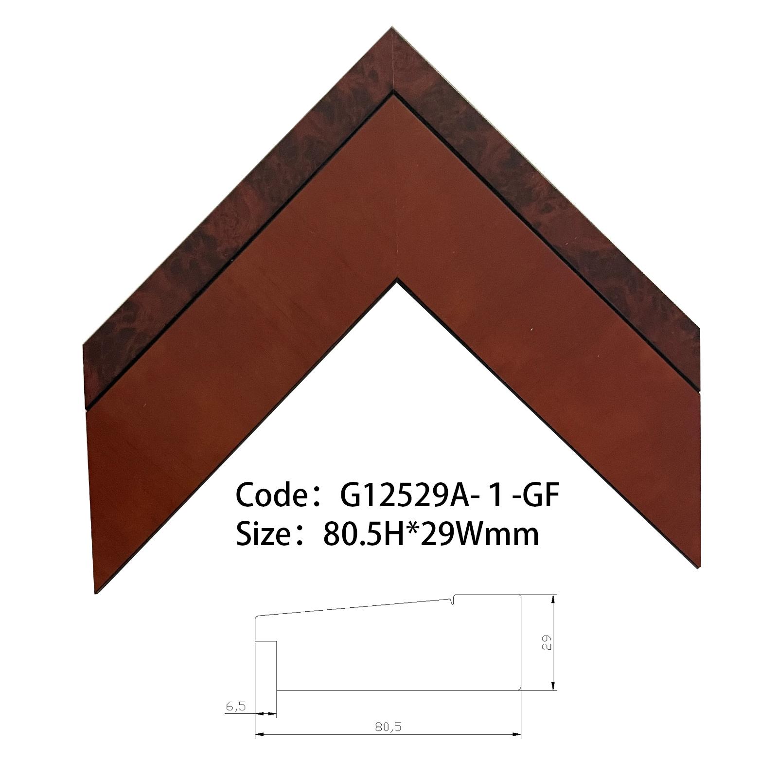 G12529A