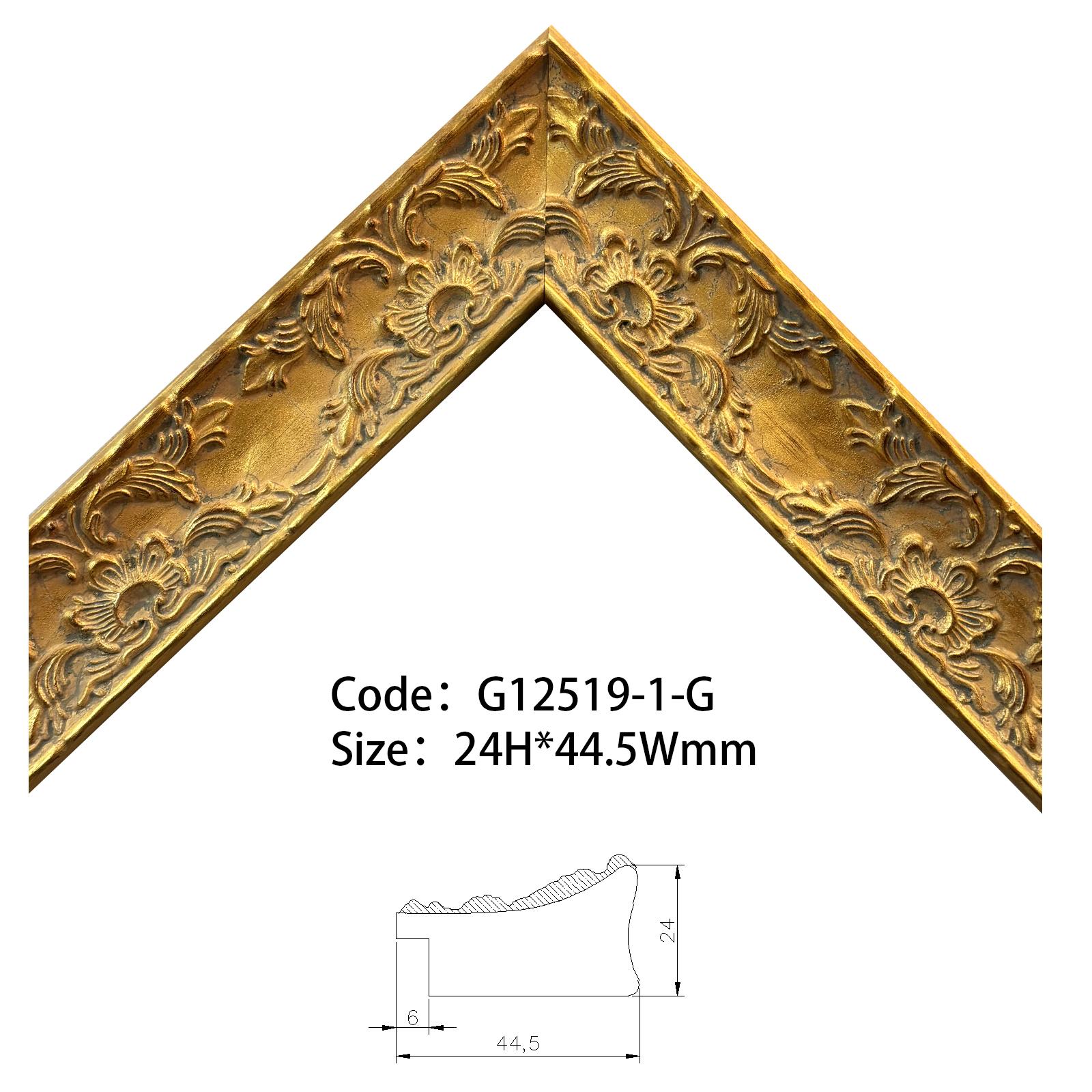 G12519